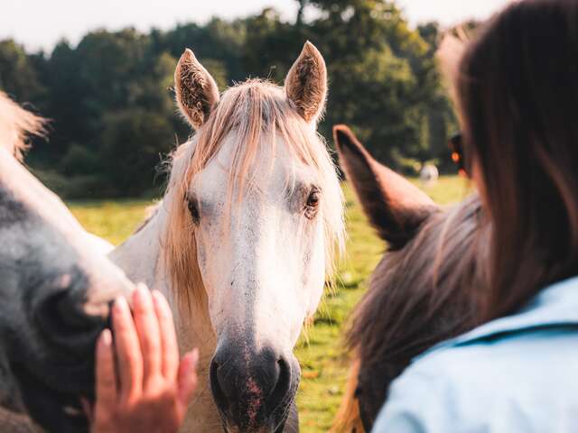 Visite à 3 voix: visite multisensorielle