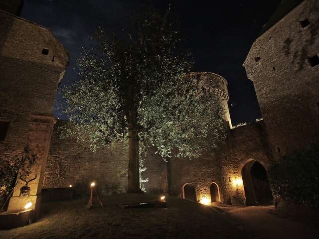 VISITE NOCTURNE DU CHÂTEAU DE LASSAY