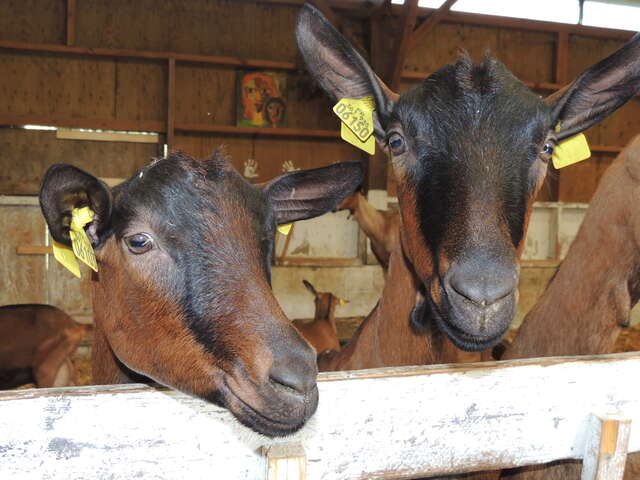 Chevrerie La Mercerie