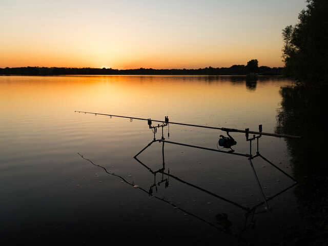 PÊCHE À LA CARPE DE NUIT SUR LA RIVIÈRE LA MAYENNE