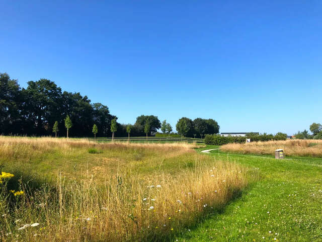 Les Fours à Chaux - Trail