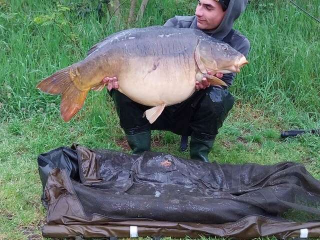 Pêche carpiste et de loisirs