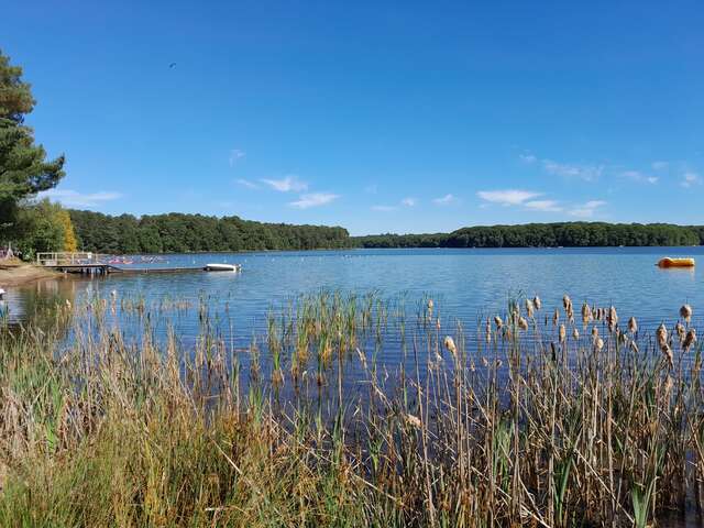 Les Mercredis du Lac - Contes des Folles Herbes