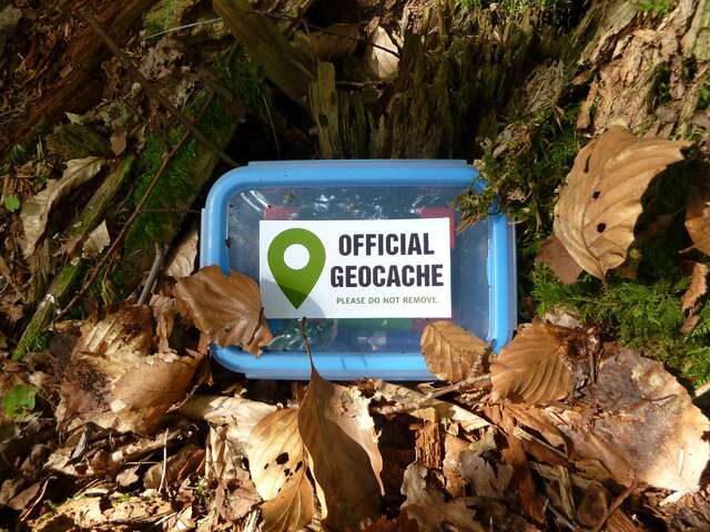 Chasse aux trésors - Géocaching 
