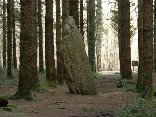 Les Mégalithes et le Menhir de l'étoile en forêts de Camors et Floranges