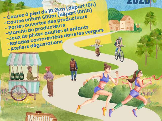 A la découverte des poiriers en fleurs