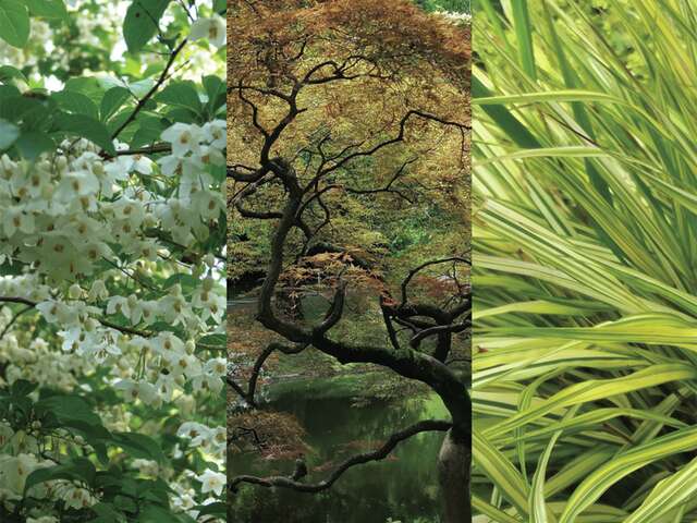 Fête des Plantes : Entre ville et jardin