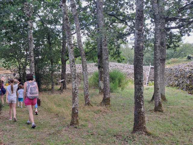 Visite guidée · Le Camp celtique