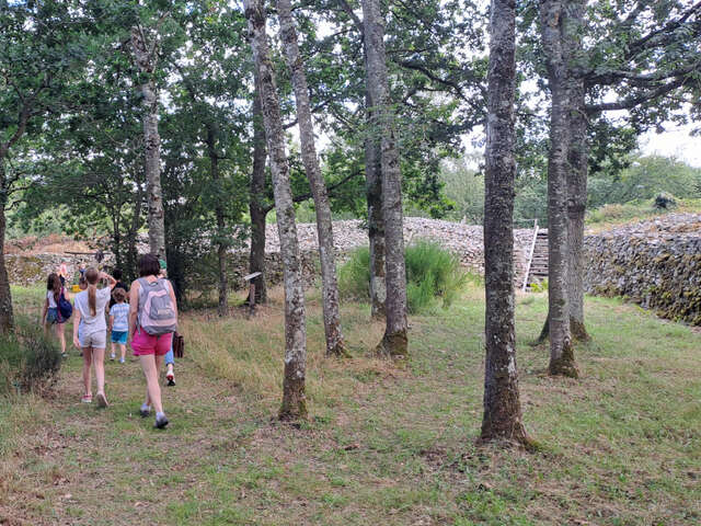 VISITE GUIDÉE : Le Camp celtique de Bierre