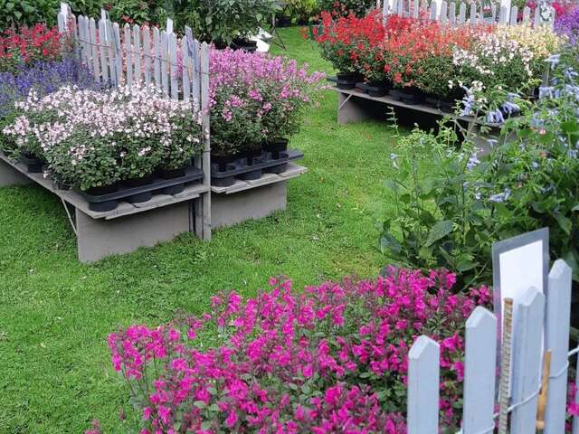 Plantes en Fête