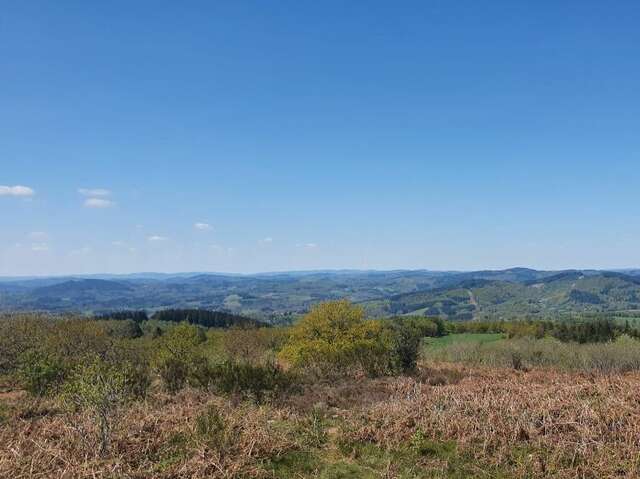 Patrimoine et forêt du Limousin