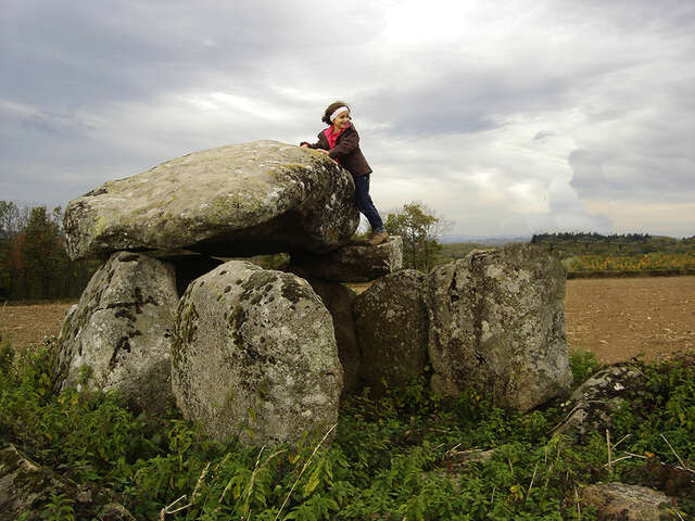 Le Dolmen de la Croix Blanche