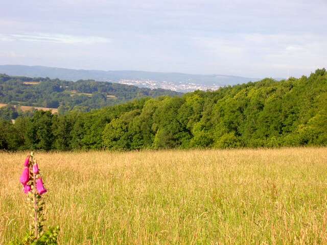 point de vue de Peume