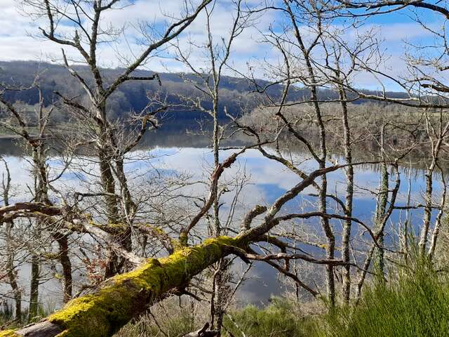 Circuit pédestre : La Croix des Noth