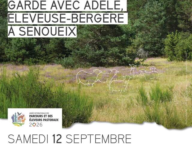 Garde avec Adèle, éleveuse-bergère à Senoueix