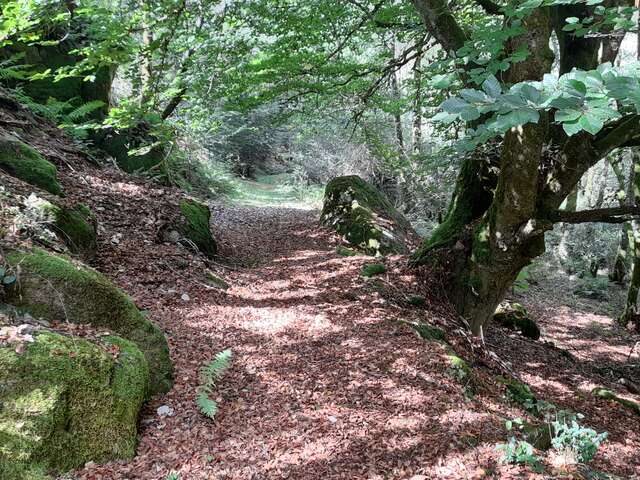 Sentier d'interprétation des pierres fades