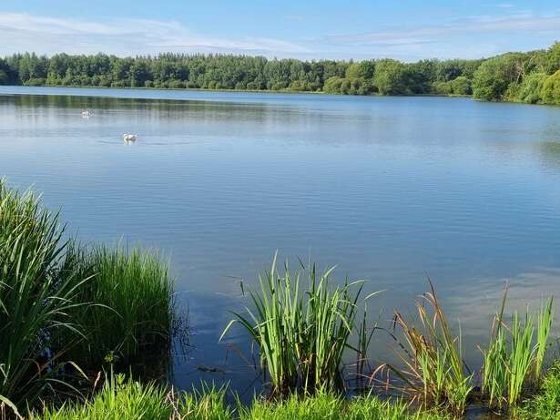 Etang de la Reyberie