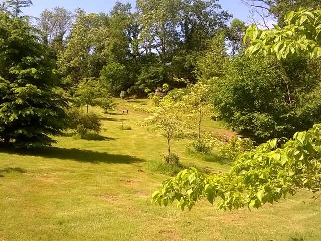 Arboretum du Lys