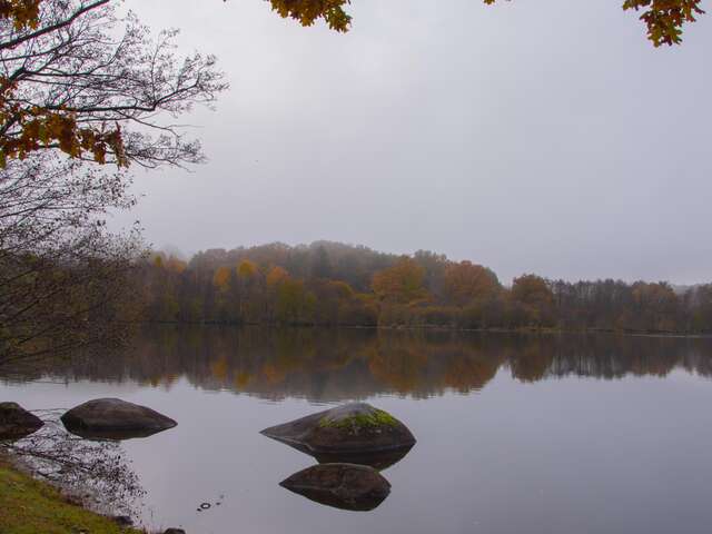 Etang du Puy