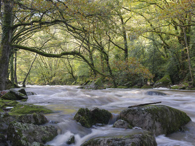 Exposition photographie " Couleurs d'automne et ambiance hivernale dans la vallée des peintres"