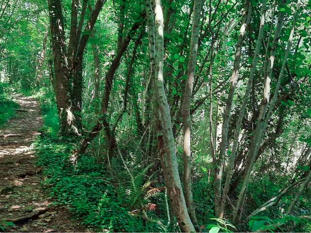 Géocaching Terra Aventura : l'aventure, c'est comme la garbure...
