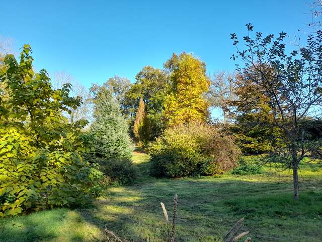 Arboretum du Lys