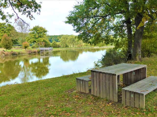 Etang de Coux : Aire de pique-nique