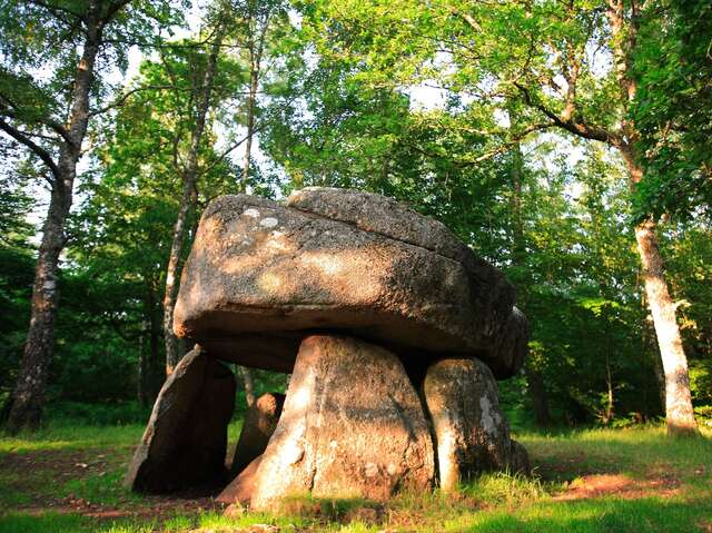 Crocq (Dolmen d'Urbe) : Aire de pique-nique