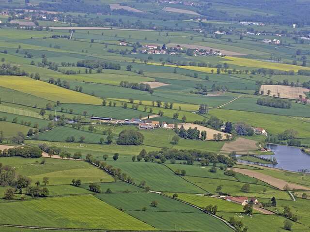 Le sentier de la Brande de Landes