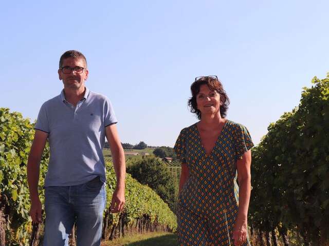 Domaine de Pécoula