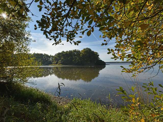 L'étang des Landes