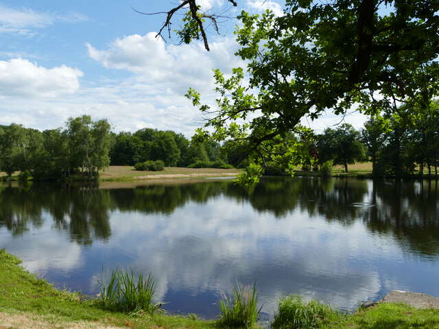 Etang de Chaux