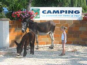 Aire naturelle de camping Le Bonheur est dans le Pré