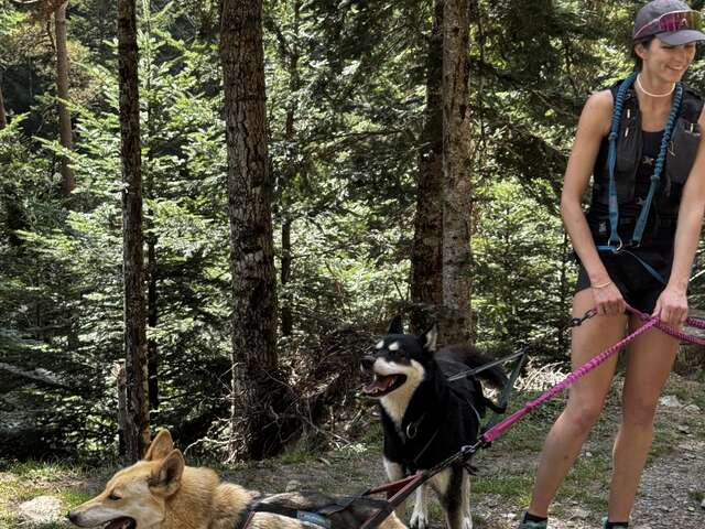 LA FILLE AUX LOUPS