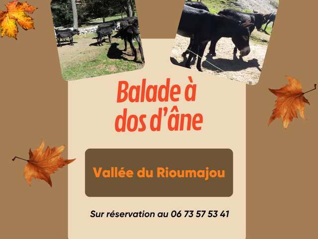 Balade à dos d'ânes au Rioumajou