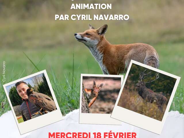 Conférence sur la faune sauvage par Cyril Navarro