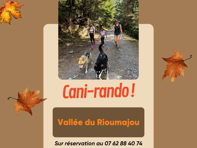 Cani rando avec "La fille aux loups"