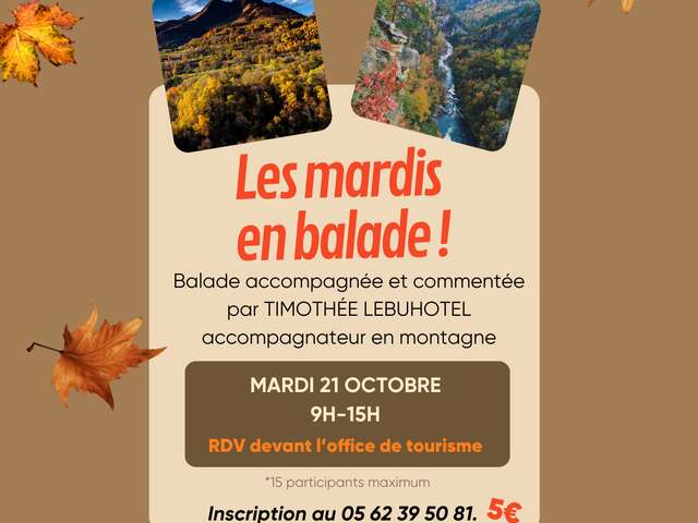 Mardis en balade
