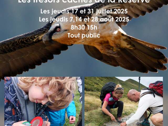 Randonnée accompagnée : Les trésors cachés de la Réserve