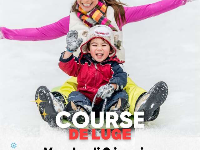 Course de luge