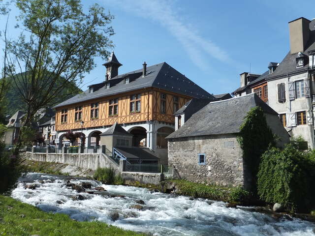 Visite d'Arreau "Tours et détours"