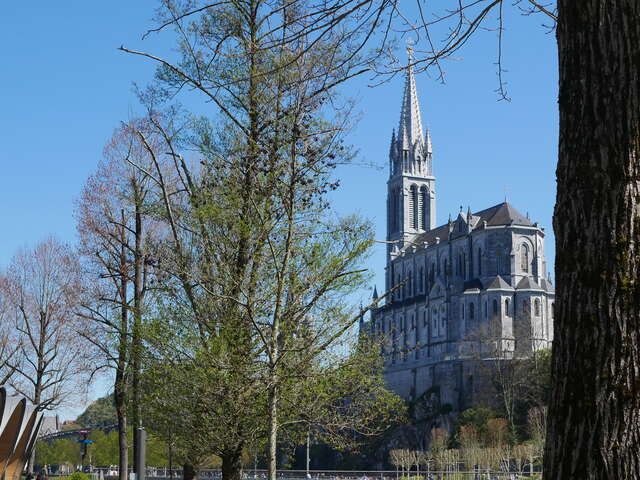 BASILIQUE DE L’IMMACULÉE CONCEPTION