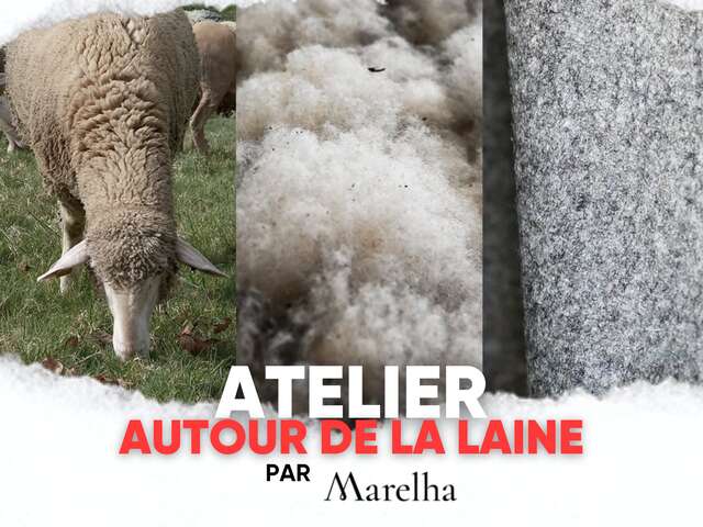 Atelier laine avec Marelha - MOIS DU PATRIMOINE