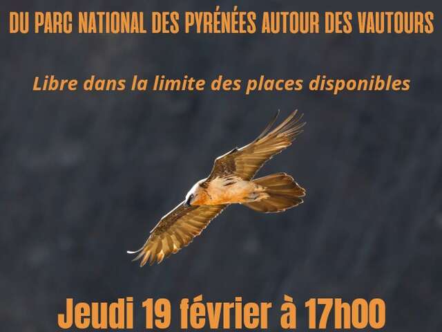 CONFERENCE AUTOUR DES VAUTOURS