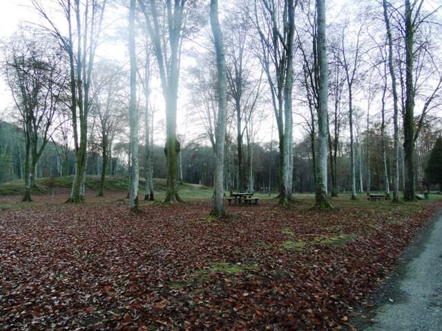 BOIS DE LOURDES OU FORET DE SUBERCARRERE