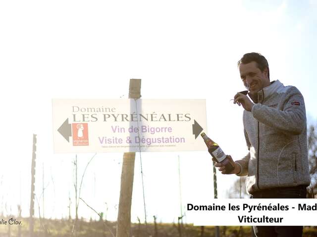 DOMAINE LES PYRENEALES