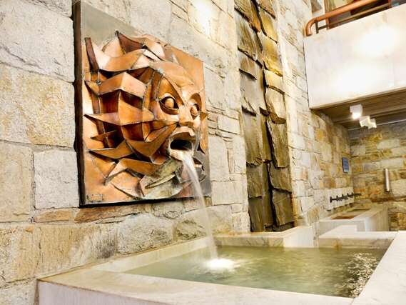 VALVITAL - SPA THERMAL SAINT-LARY SOULAN