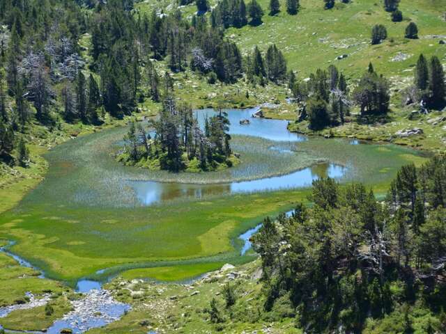 Sortie - Lacs et Tourbières de la Réserve Naturelle du Néouvielle