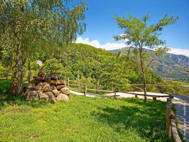 PARC ANIMALIER DES PYRÉNÉES