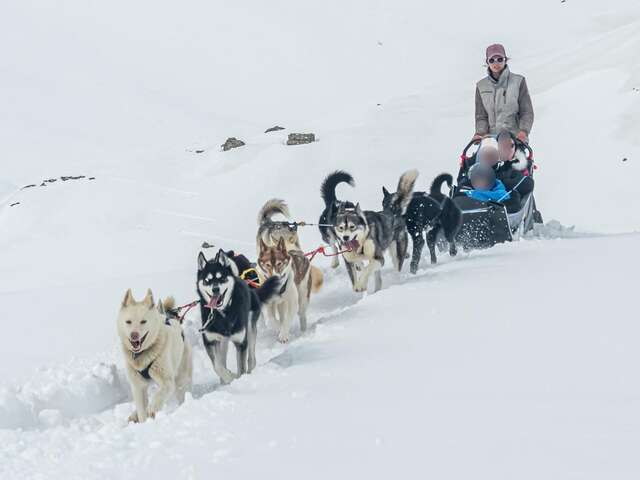 LA FILLE AUX LOUPS-CHIENS DE TRAINEAU